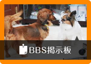 BBS掲示板