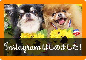 Instagram／インスタグラム