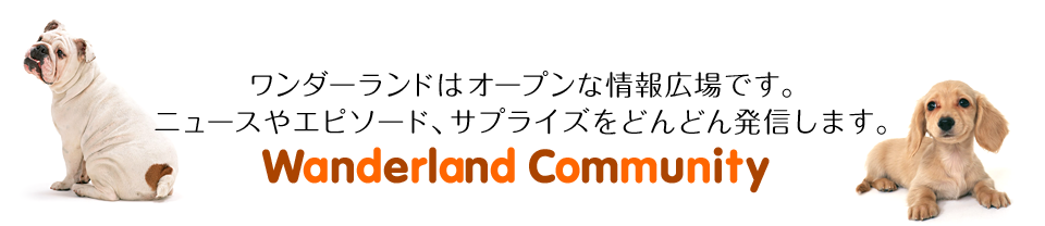 ワンダーランドはオープンな情報広場です。