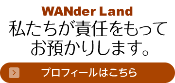 「ワンダーランド」プロフィール